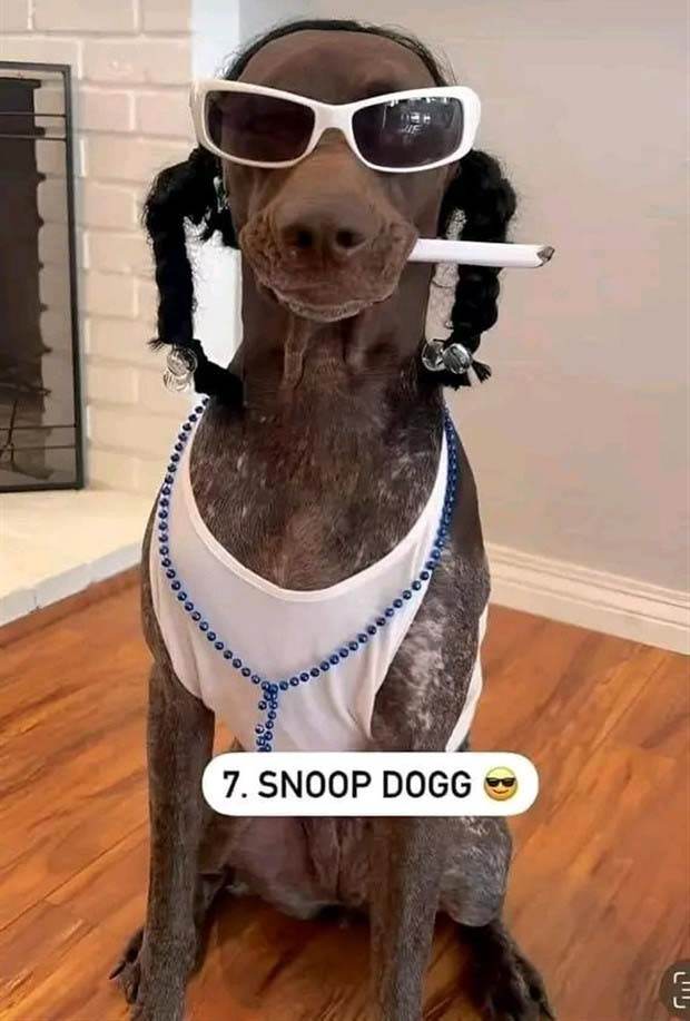 Funny Pics And Memes #29 (45 photos)