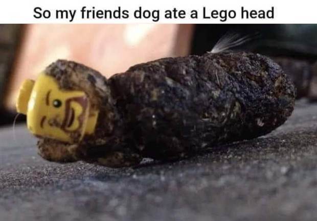 Funny Pics And Memes #29 (45 photos)