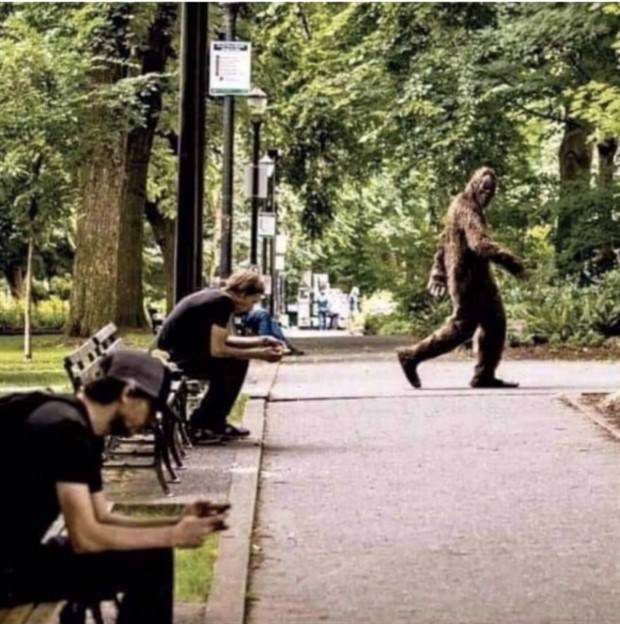 Funny Pics And Memes #29 (45 photos)