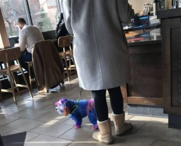 Get Ready For Funny Animals #258 (48 photos)