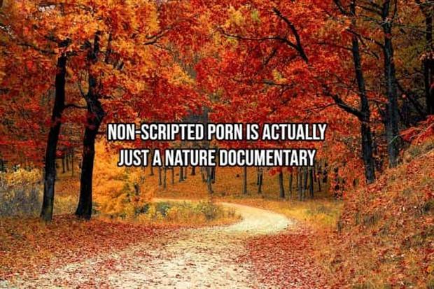 Funny Shower Thoughts #30 (32 photos)
