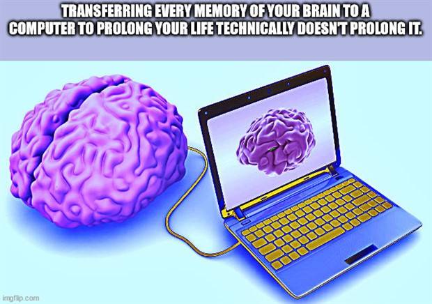 Funny Shower Thoughts #29 (38 photos)