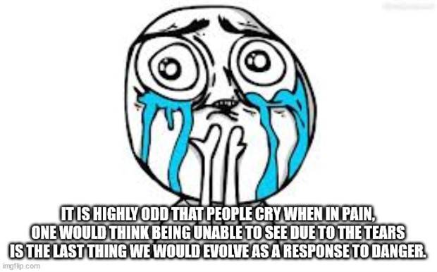 Funny Shower Thoughts #29 (38 photos)