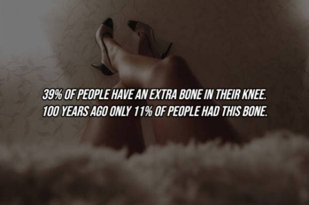 22 Cool Facts About Our Bodies (22 photos)