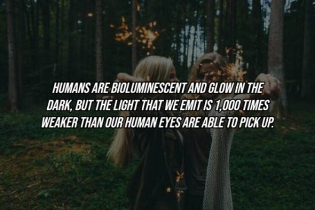 22 Cool Facts About Our Bodies (22 photos)