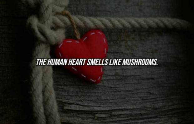 22 Cool Facts About Our Bodies (22 photos)