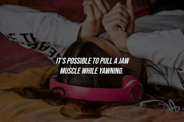 22 Cool Facts About Our Bodies (22 photos)