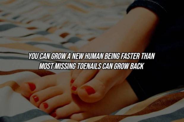 22 Cool Facts About Our Bodies (22 photos)