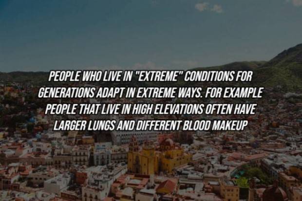22 Cool Facts About Our Bodies (22 photos)