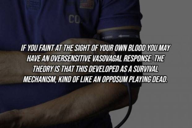 22 Cool Facts About Our Bodies (22 photos)