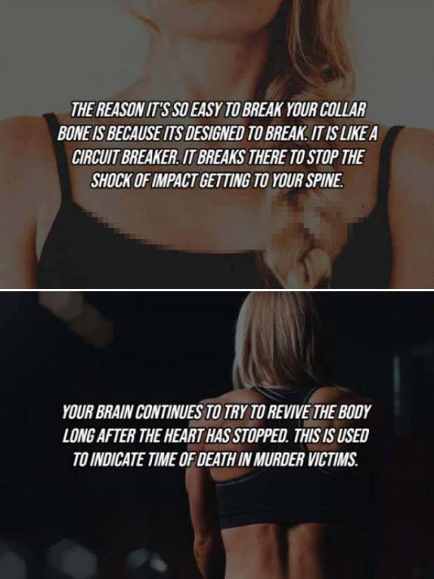 22 Cool Facts About Our Bodies (22 photos)