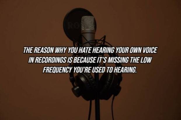 22 Cool Facts About Our Bodies (22 photos)