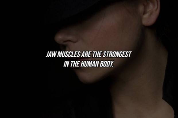 22 Cool Facts About Our Bodies (22 photos)