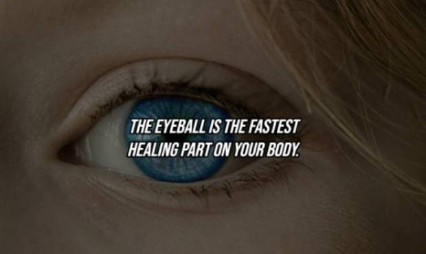 22 Cool Facts About Our Bodies (22 photos)