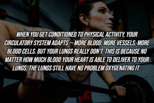 22 Cool Facts About Our Bodies (22 photos)