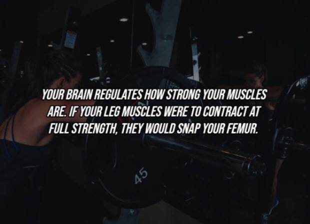 22 Cool Facts About Our Bodies (22 photos)