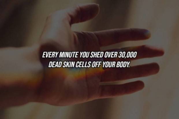 22 Cool Facts About Our Bodies (22 photos)