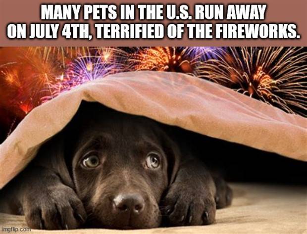 It’s Time For Some Cool And Interesting Facts #303 (35 photos)