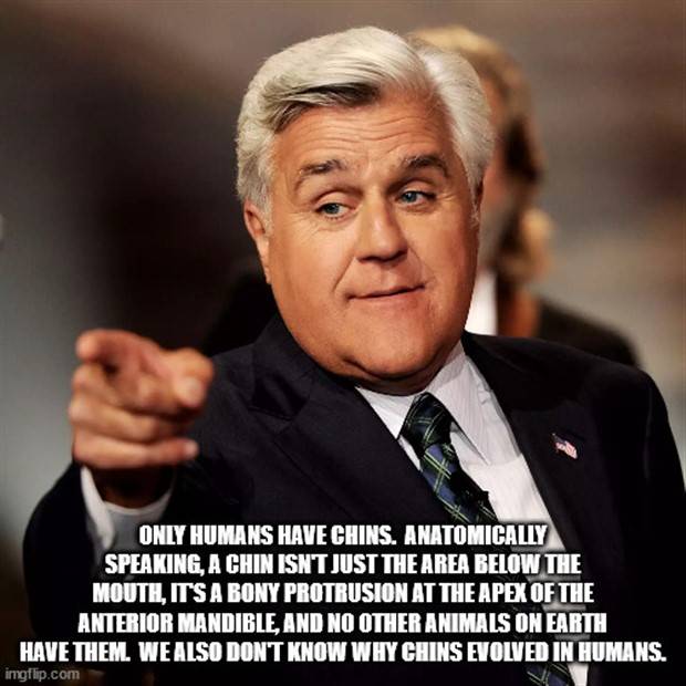 It’s Time For Some Cool And Interesting Facts #303 (35 photos)