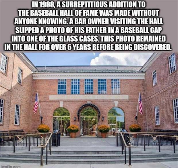 It’s Time For Some Cool And Interesting Facts #303 (35 photos)