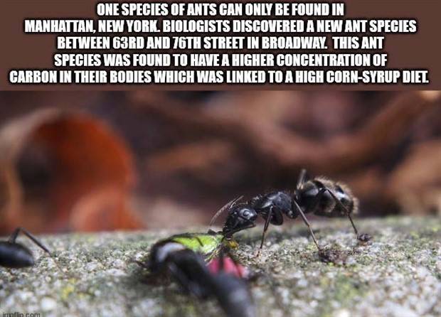 It’s Time For Some Cool And Interesting Facts #303 (35 photos)