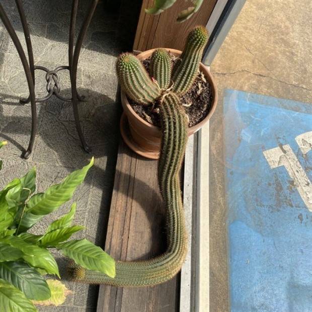 Klyker Picdump #1096 (54 photos)