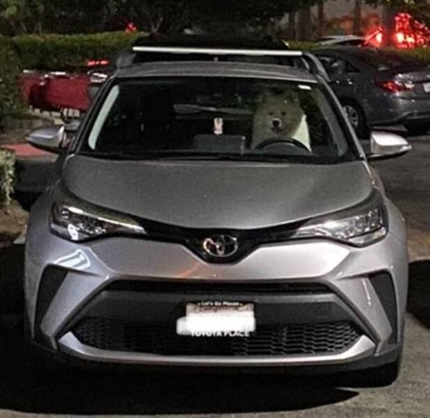 Klyker Picdump #1096 (54 photos)