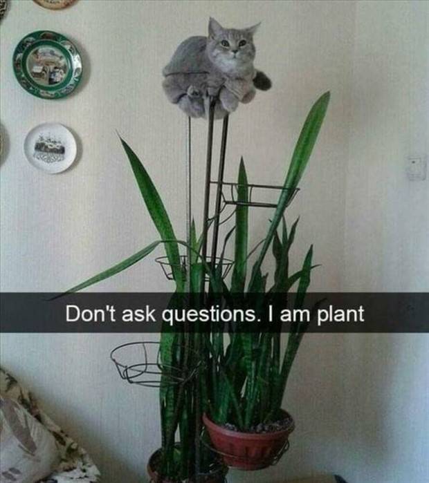 Klyker Picdump #1096 (54 photos)