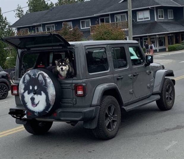 Klyker Picdump #1096 (54 photos)