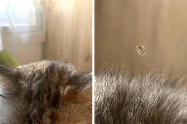 Klyker Picdump #1096 (54 photos)