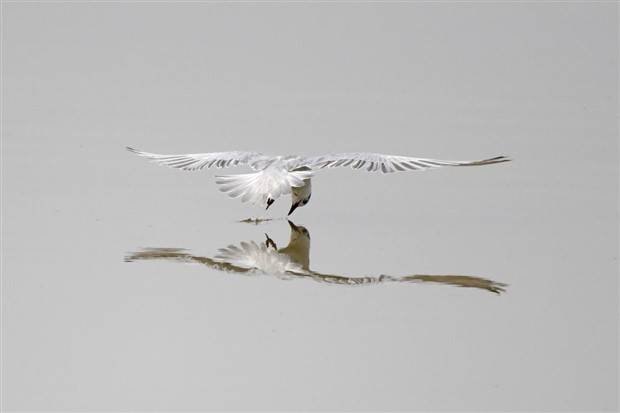 Klyker Picdump #1099 (52 photos)