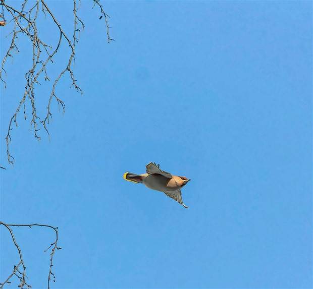 Klyker Picdump #1099 (52 photos)