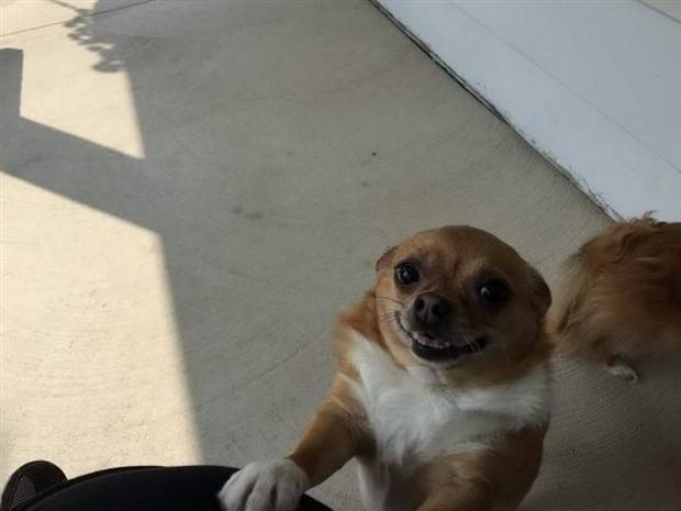 Klyker Picdump #1099 (52 photos)