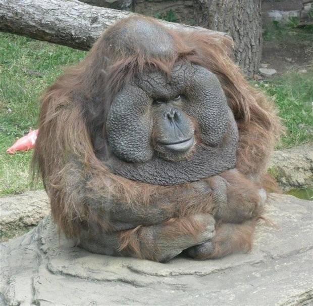 Klyker Picdump #1099 (52 photos)