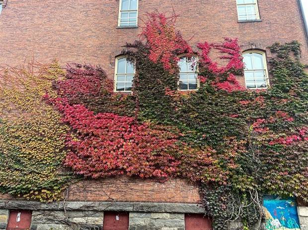 Klyker Picdump #1099 (52 photos)