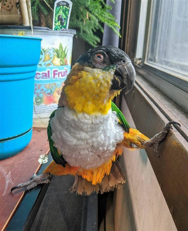 Klyker Picdump #1099 (52 photos)