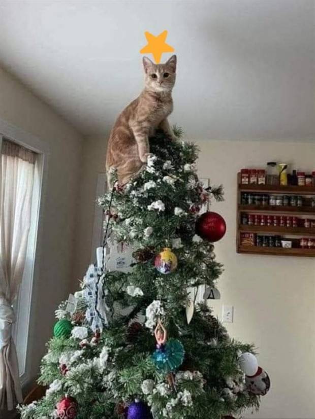 Klyker Picdump #1099 (52 photos)