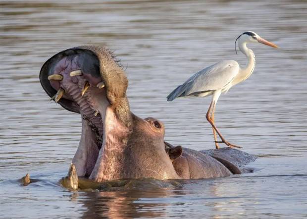 Klyker Picdump #1100 (53 photos)