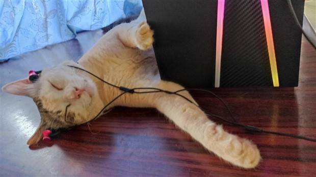 Klyker Picdump #1100 (53 photos)
