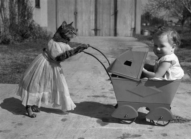 Klyker Picdump #1100 (53 photos)