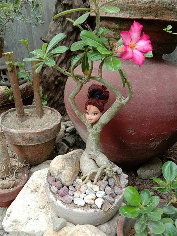 Klyker Picdump #1104 (52 photos)