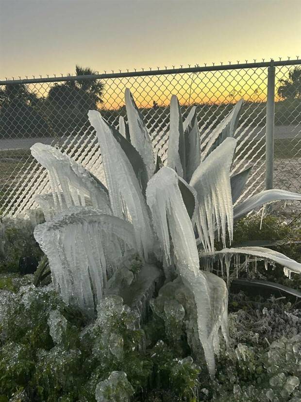 Klyker Picdump #1104 (52 photos)