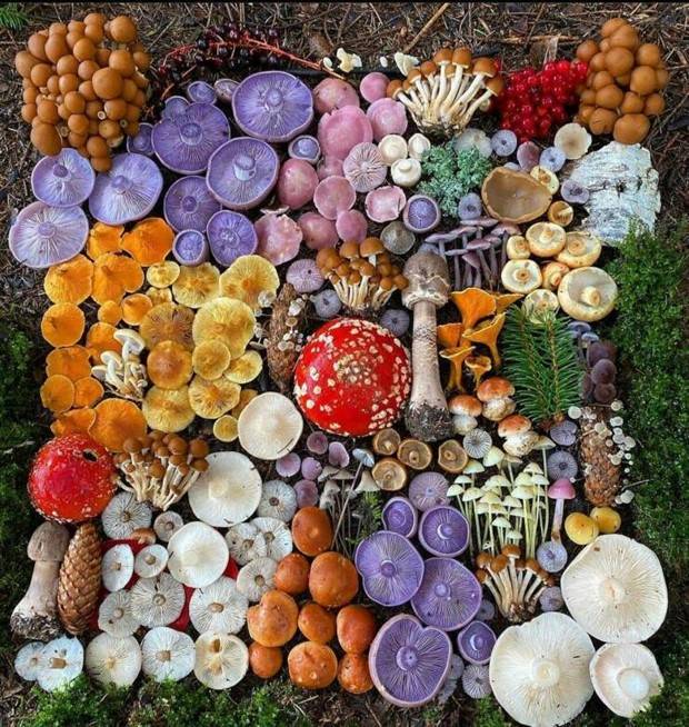 Klyker Picdump #1104 (52 photos)