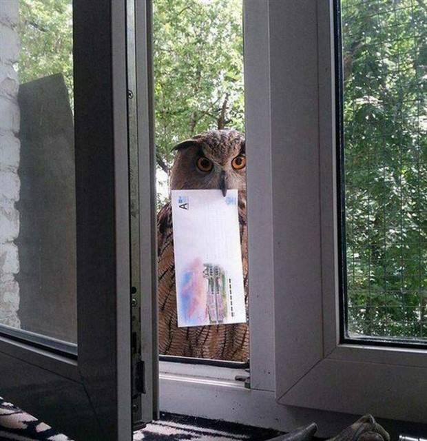 Klyker Picdump #1104 (52 photos)