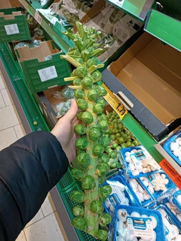 Klyker Picdump #1104 (52 photos)