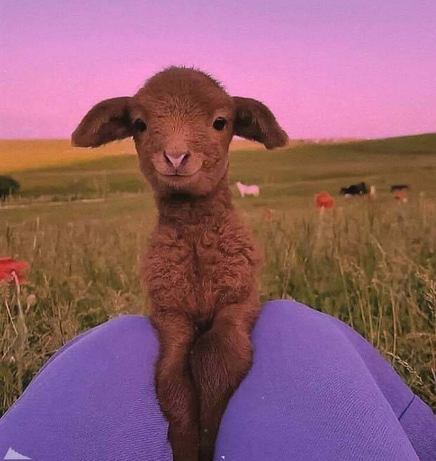 Klyker Picdump #1104 (52 photos)