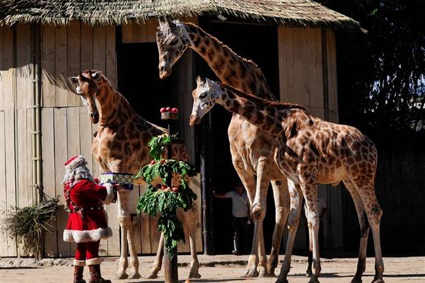 Klyker Picdump #1104 (52 photos)