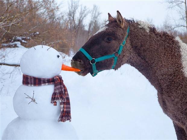 Klyker Picdump #1104 (52 photos)