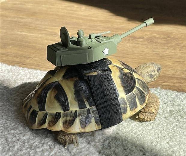 Klyker Picdump #1104 (52 photos)