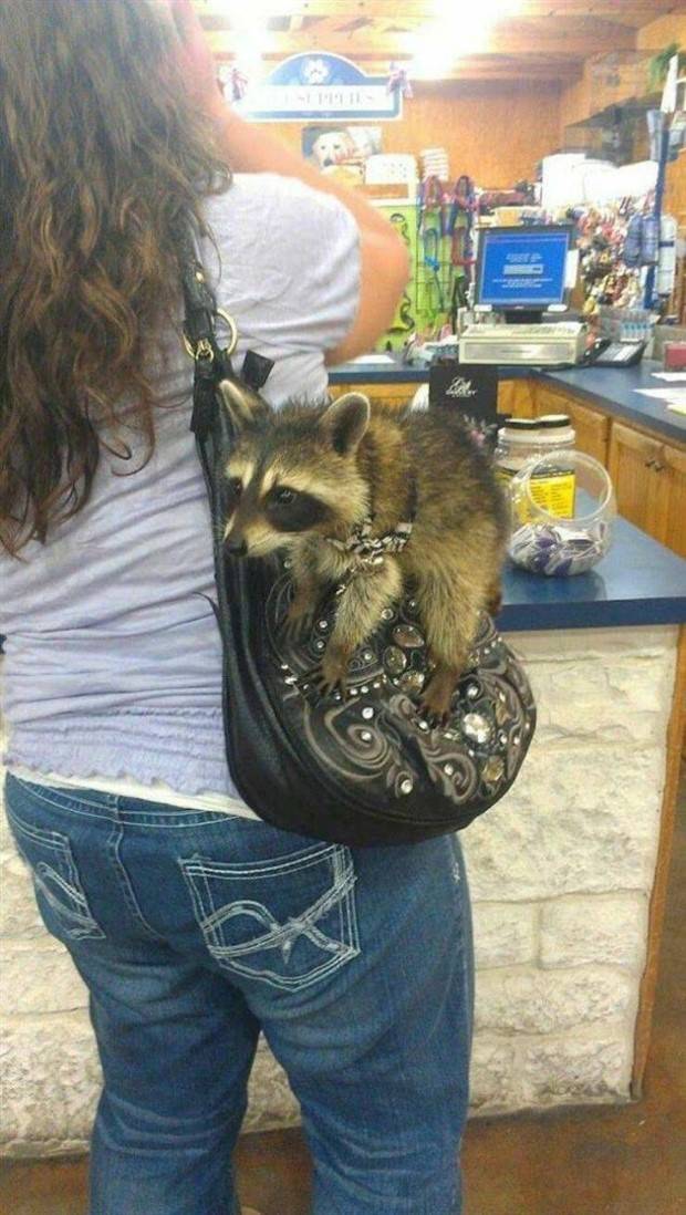 Klyker Picdump #1104 (52 photos)